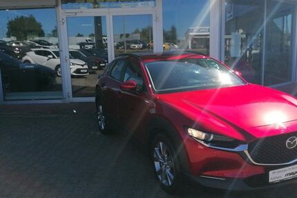 Mazda CX-30 43.239 km 24.990 &euro; Klötze 38486