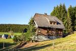 Mehrfamilienhaus, Wohnhaus Titisee-Neustadt Titisee - 3 Zimmer, 101 m&sup2;, 749.000&euro; | Angebot:26274112