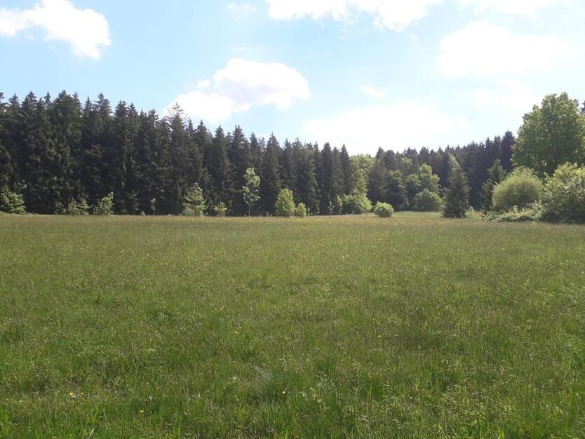 Wiesengrundstück, Nähe Holzkirchen