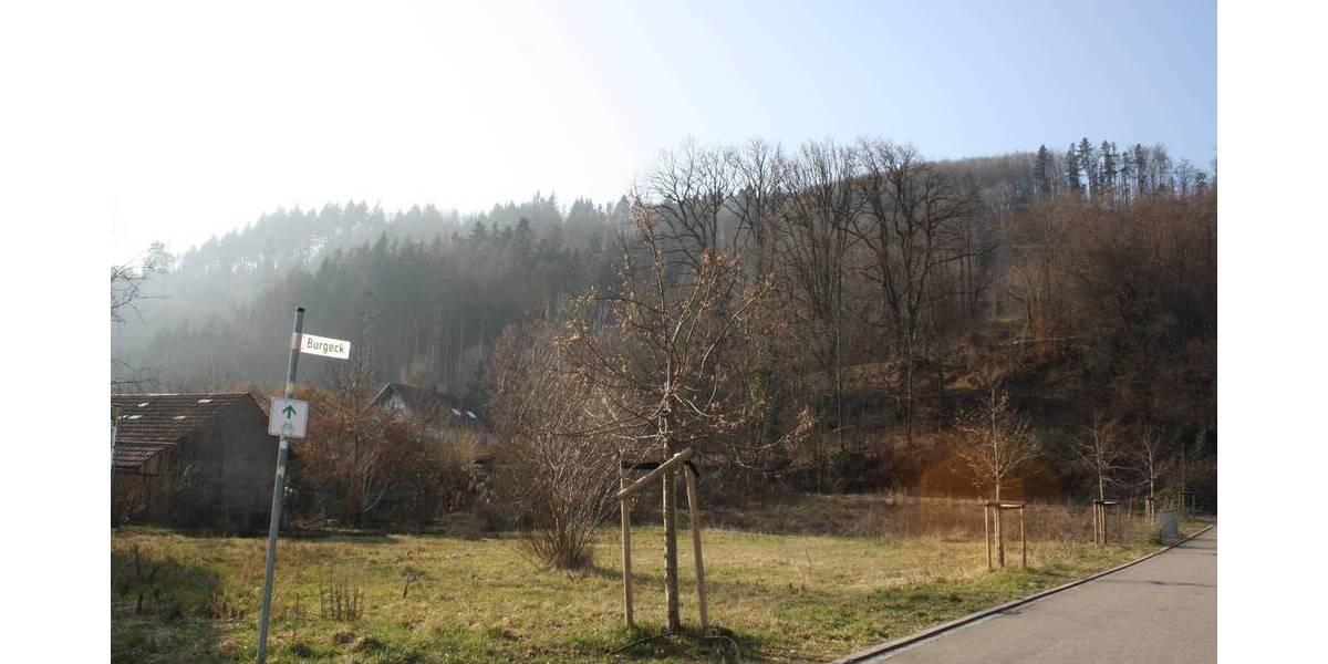 Grundstück Hausen - 150.000&euro; | Angebot:19289504