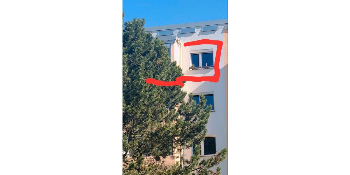 Etagenwohnung Wittenberg Lutherstadt - 1 Zimmer, 49 m&sup2;, 36.000&euro; | Angebot:26322647