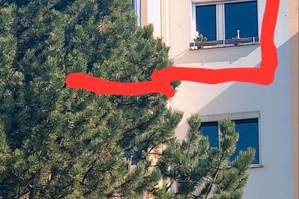 Wohnung Wittenberg Lutherstadt - 1 Zimmer, 49 m&sup2;, 36.000&euro; | Angebot:26322647