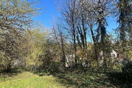 Grundstück Nußbaum - 119.000&euro; | Angebot:20197348