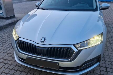 Skoda Octavia 50.000 km 28.999 &euro; Schwebheim 97525