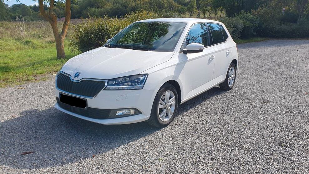 Skoda Fabia 76.500 km 12.900 € Estenfeld 97230