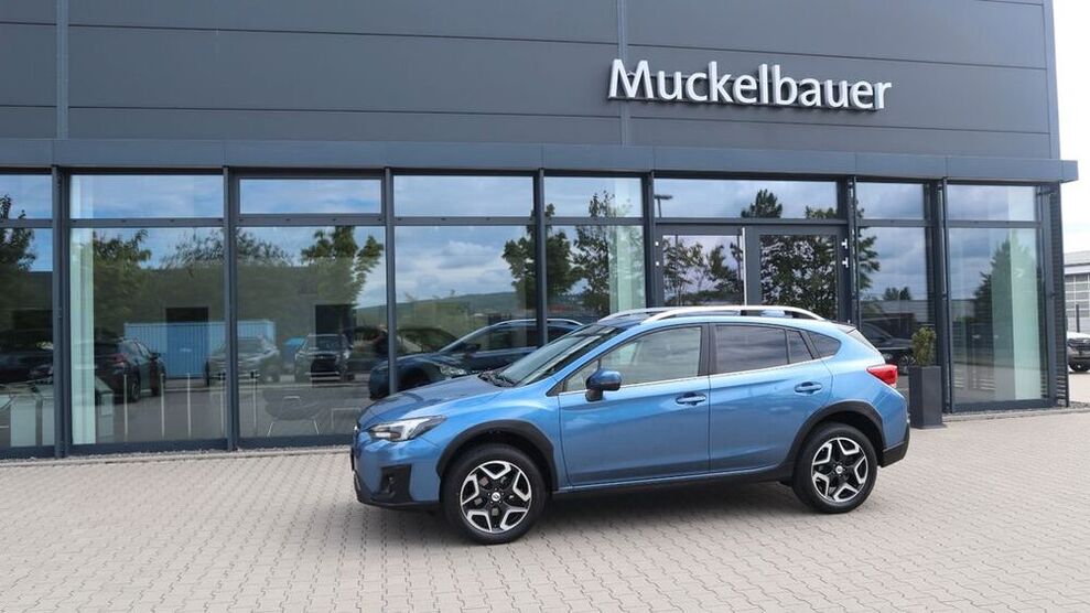 XV