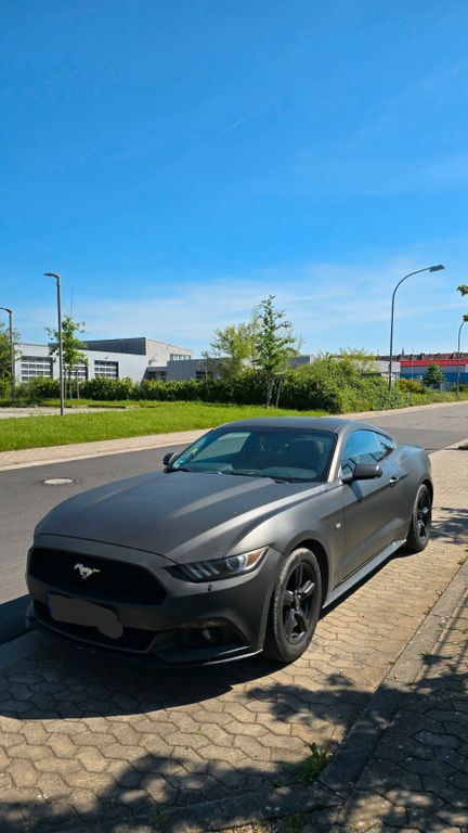 Mustang