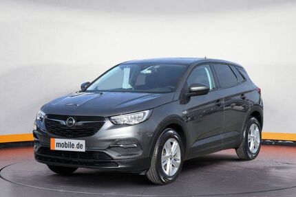 Opel Opel Grandland X Turbo Edition PDC/LED/Kamera/Sitz