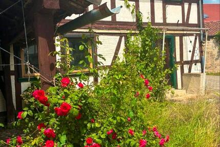 Haus Groß Quenstedt - 4 Zimmer, 200 m&sup2;, 36.900&euro; | Angebot:26865943