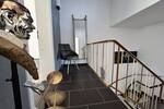 Reihenmittelhaus Vlotho - 4 Zimmer, 101 m&sup2;, 228.000&euro; | Angebot:26190123