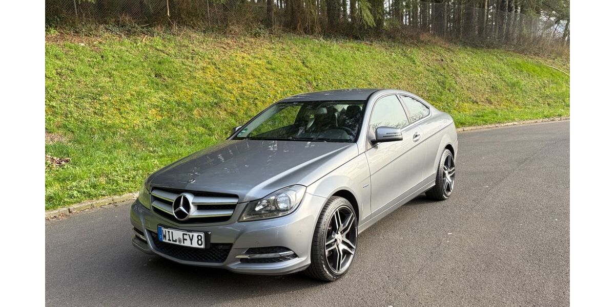 Mercedes-Benz 220 207.500 km 9.200 &euro; Wittlich 54516