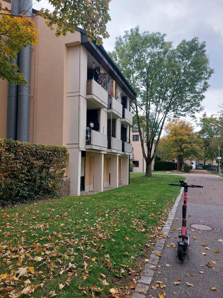 Ein schönes renoviertes 1-Zi.Apartment sofort zu verkaufen zimmer