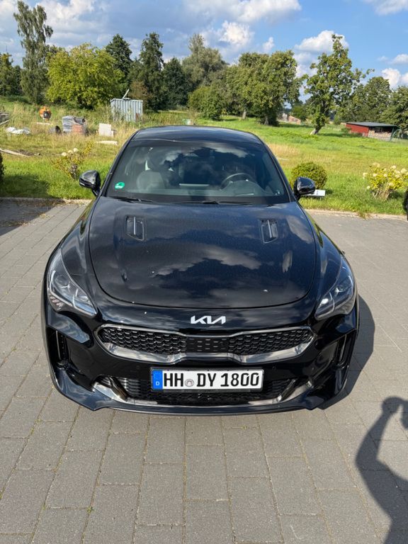 Stinger