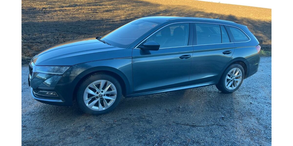 Skoda Octavia 312.569 km 11.800 &euro; Hildrizhausen 71157