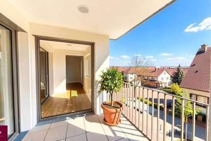 Wohnung Neuenburg am Rhein - 4 Zimmer, 116 m&sup2;, 460.500&euro; | Angebot:26105645