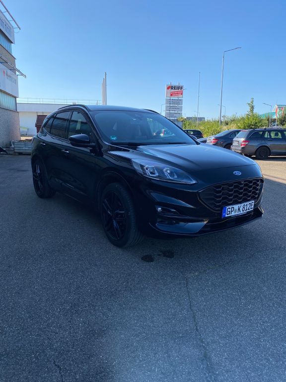 Kuga
