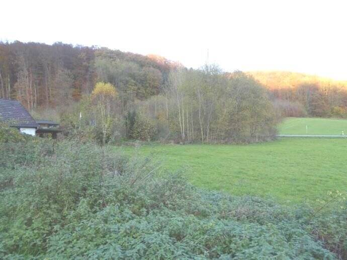 Beverungen - Grundstücke Im Roggenthal zimmer