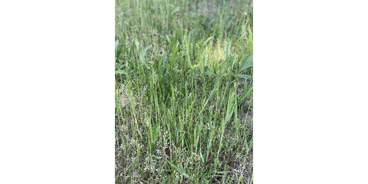 Grundstück Fürth Bislohe - 579.800&euro; | Angebot:25373259