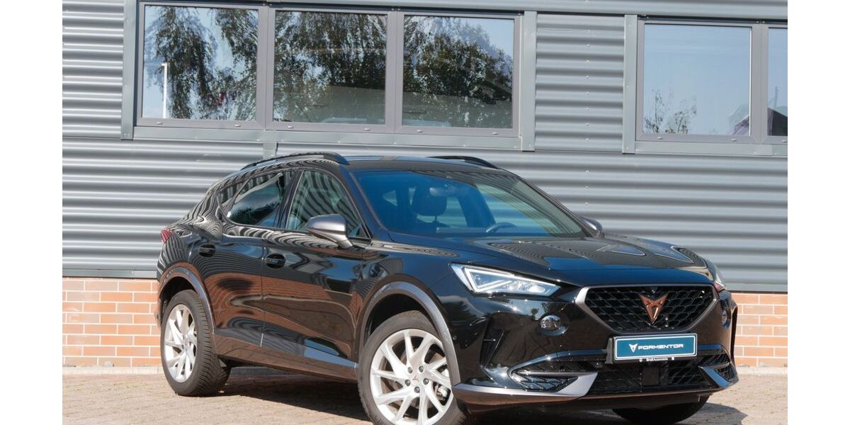 Cupra Formentor 18.890 km 27.990 &euro; Schneeberg 08289