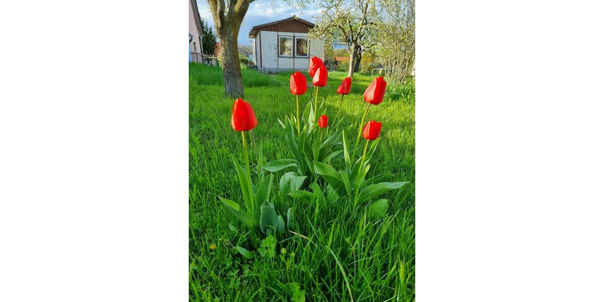 Einfamilienhaus Oberhaching Deisenhofen - 4 Zimmer, 119 m&sup2;, 249.000&euro; | Angebot:26132669