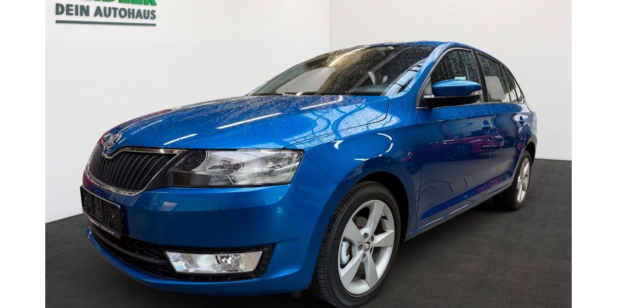 Skoda Rapid 30.850 km 11.950 &euro; Mylau 08499