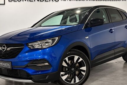 Opel Grandland (X) 87.003 km 10.980 &euro; Rodgau-Weiskirchen/nähe Frankfurt am Main 63110