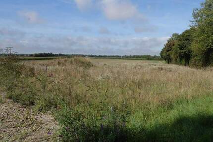 Grundstück Steinach Münster - 685.000&euro; | Angebot:23287993