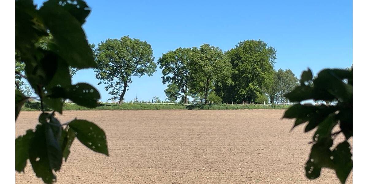 Grundstück Bunsoh - 110.000&euro; | Angebot:19330332