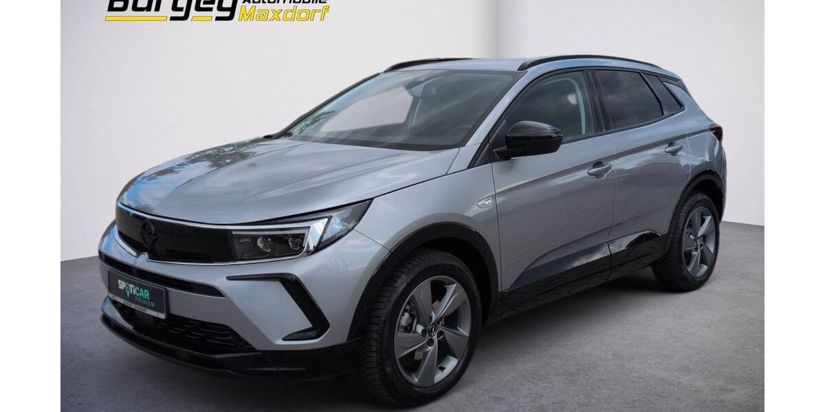 Opel Grandland (X) 4.000 km 27.430 € Maxdorf 67133
