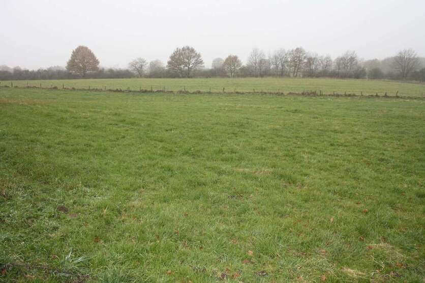 Haus zum Kaufen in Hanerau-Hademarschen 590.000 € 260 m²