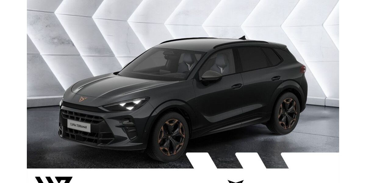 Cupra Terramar 1.500 km 41.924 &euro; Büdingen-Düdelsheim 63654