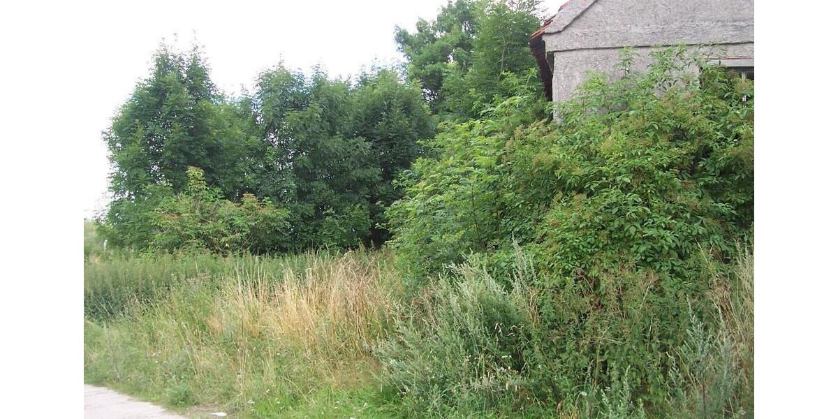 Doppelhaushälfte Gnoien - 12.500&euro; | Angebot:20547930