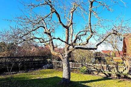 Haus Schwülper Rothemühle - 6 Zimmer, 210 m&sup2;, 425.000&euro; | Angebot:24855970