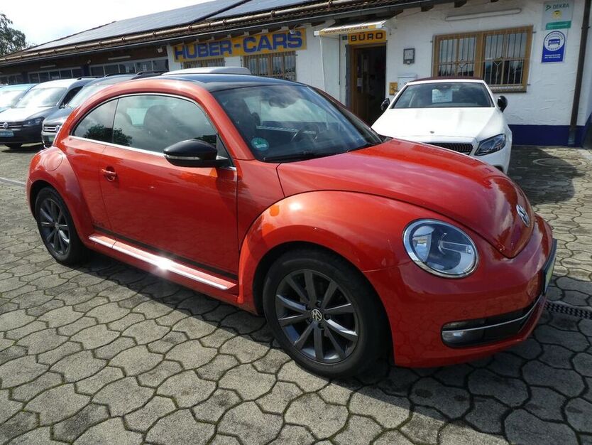 Beetle