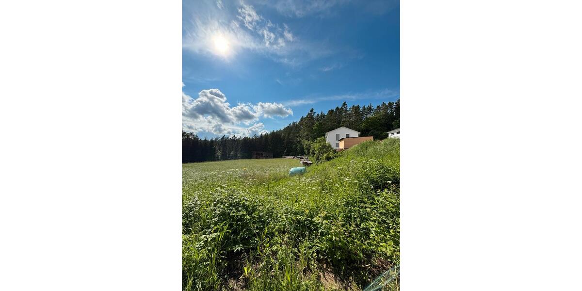 Einfamilienhaus Hohenburg - 6 Zimmer, 154 m&sup2;, 1.800&euro; | Angebot:26677327