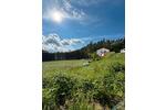 Einfamilienhaus Hohenburg - 6 Zimmer, 154 m&sup2;, 1.800&euro; | Angebot:26677327