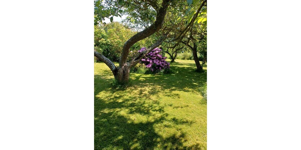 Einfamilienhaus Fehmarn - 3 Zimmer, 115 m&sup2;, 135.000&euro; | Angebot:26780525