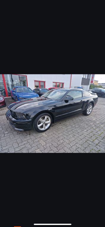 Mustang