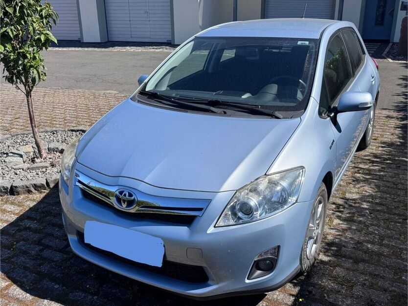 Auris