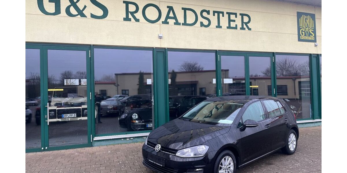 VW Golf 101.755 km 10.999 &euro; Landau 76829