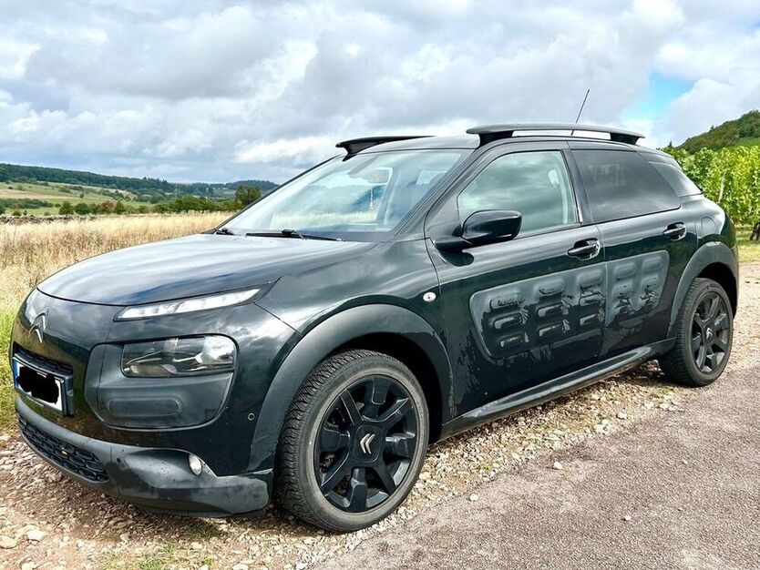 C4 Cactus