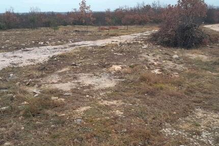 Grundstück München Ramersdorf-Perlach - 60&euro; | Angebot:25173417