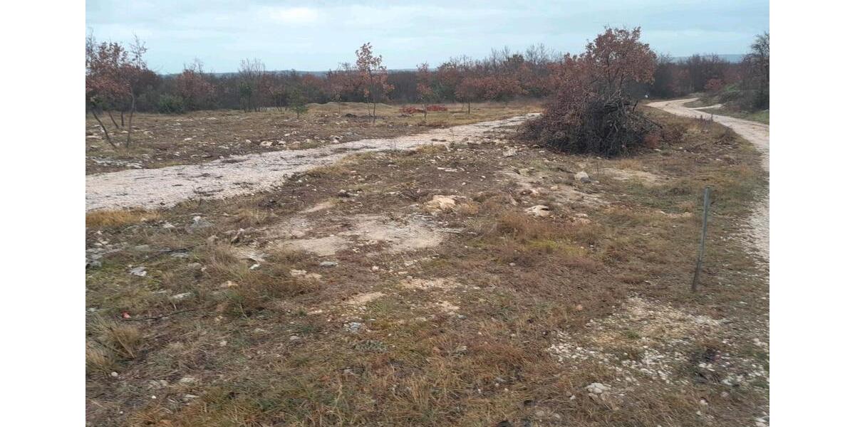 Grundstück München Ramersdorf-Perlach - 60&euro; | Angebot:25173417