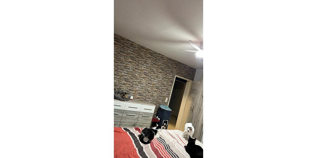 Etagenwohnung Ludwigshafen am Rhein Ludwigshafen-Hemshof - 3 Zimmer, 85 m&sup2;, 200.000&euro; | Angebot:27413678