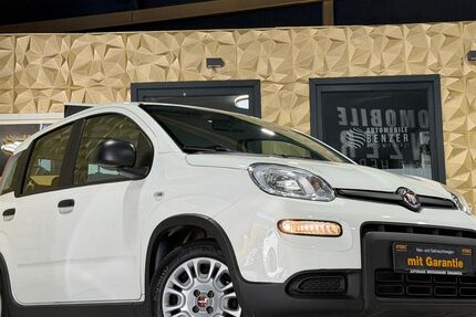 Fiat Panda 9.314 km 11.700 &euro; Wirges 56422