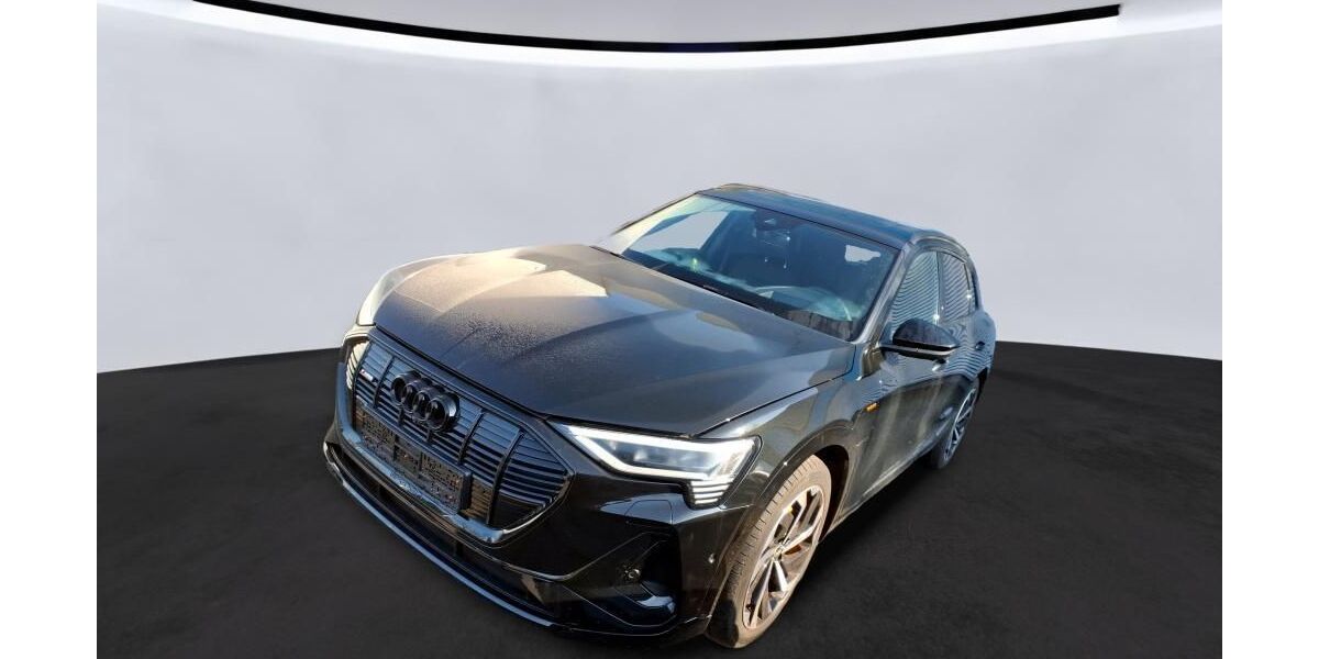 Audi e-tron 38.597 km 41.990 &euro; Hamburg 22047