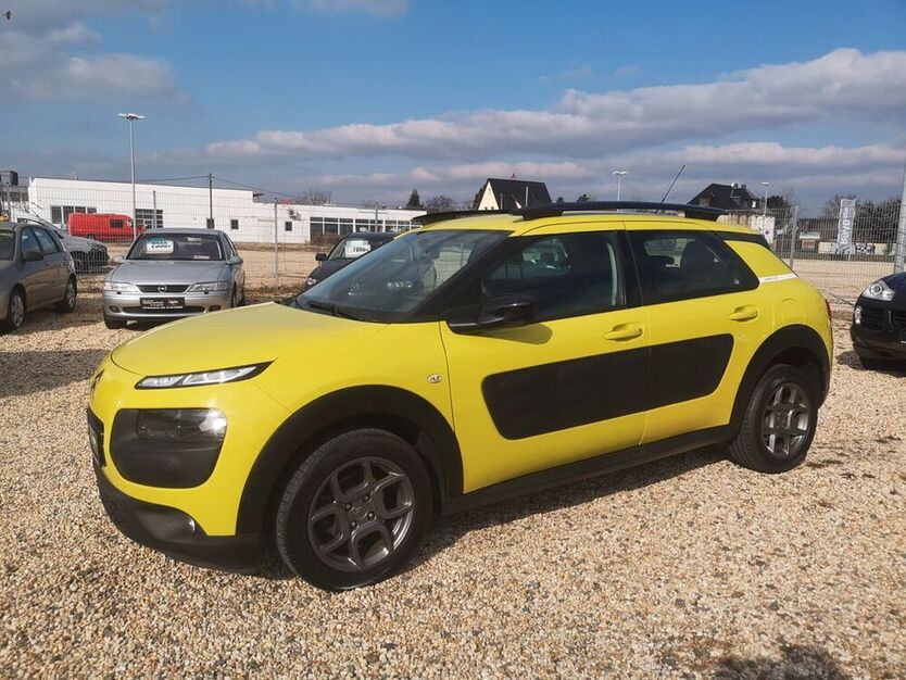 C4 Cactus