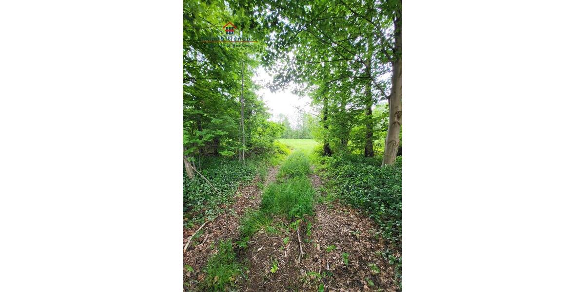 Grundstück Friesoythe - 420.000&euro; | Angebot:19599712