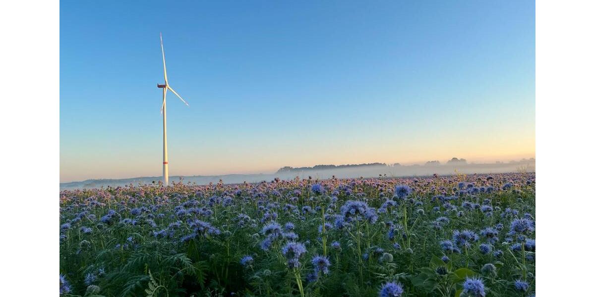 Bauernhaus, Landhaus Melle Bruchmühlen - 6 Zimmer, 150 m&sup2;, 650.000&euro; | Angebot:25839983