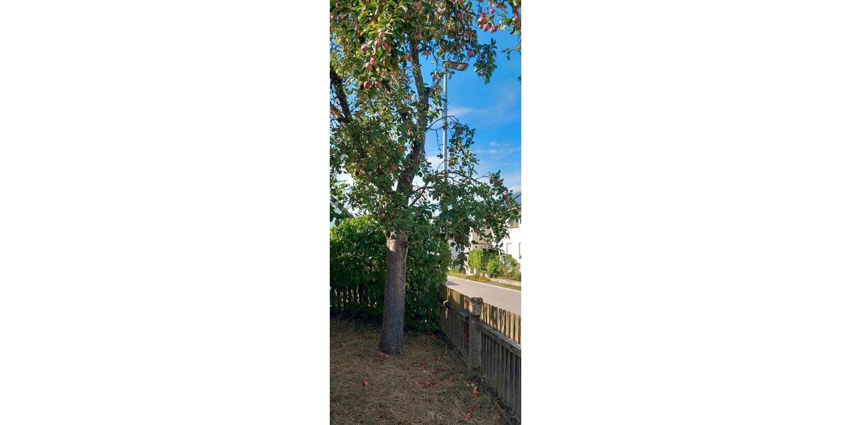 Einfamilienhaus Dinkelsbühl - 3 Zimmer, 50 m&sup2;, 129.000&euro; | Angebot:25715935